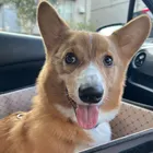 ユーザー画像