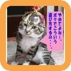 ユーザー画像