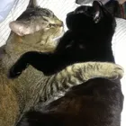 ユーザー画像
