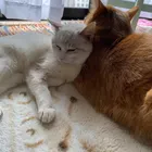 ユーザー画像