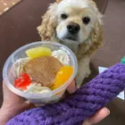 ユーザー画像