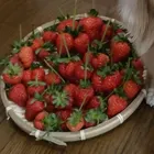 ユーザー画像