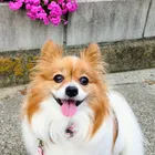 ユーザー画像