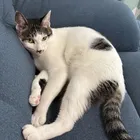 ユーザー画像