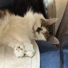 ユーザー画像