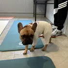 ユーザー画像