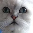 ユーザー画像
