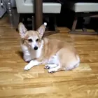 ユーザー画像
