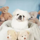 ユーザー画像