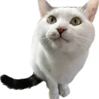 ユーザー画像
