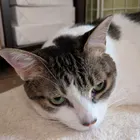 ユーザー画像