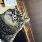 ユーザー画像