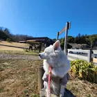 ユーザー画像