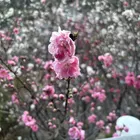 ユーザー画像