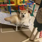 ユーザー画像