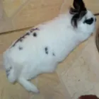 ユーザー画像