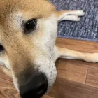 ユーザー画像