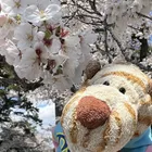 ユーザー画像