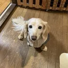 ユーザー画像