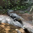ユーザー画像