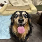 ユーザー画像