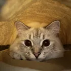 ユーザー画像