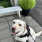 ユーザー画像