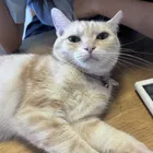 ユーザー画像
