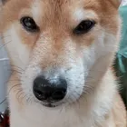 ユーザー画像
