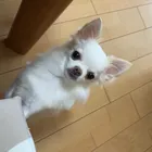 ユーザー画像