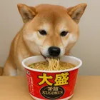 ユーザー画像