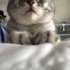 ユーザー画像