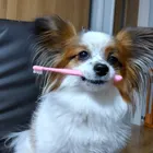 ユーザー画像
