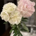 ユーザー画像