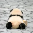 ユーザー画像
