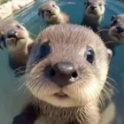 ユーザー画像