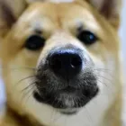 ユーザー画像