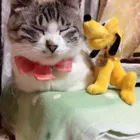ユーザー画像