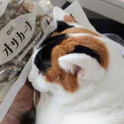 ユーザー画像