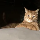 ユーザー画像