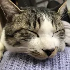 ユーザー画像
