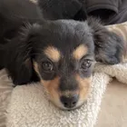 ユーザー画像