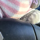 ユーザー画像