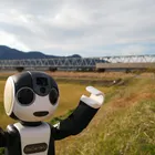 ユーザー画像