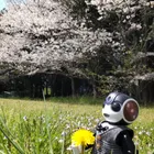 ユーザー画像