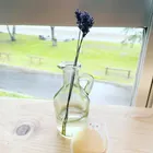 ユーザー画像