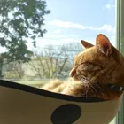 ユーザー画像
