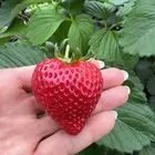 ユーザー画像