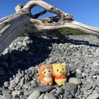 ユーザー画像