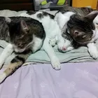 ユーザー画像